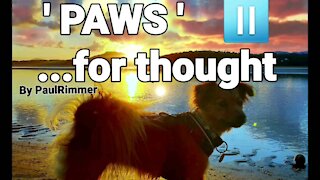 PAWs ⏯... 4 Thought #5