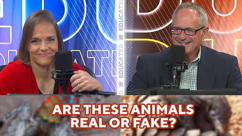 🦘Are These Animals REAL Or FAKE?