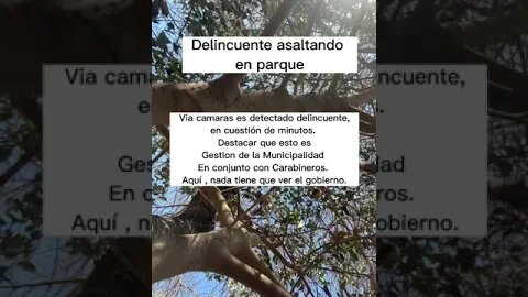#shorts policía chilena en acción (Carabineros de la Nación)