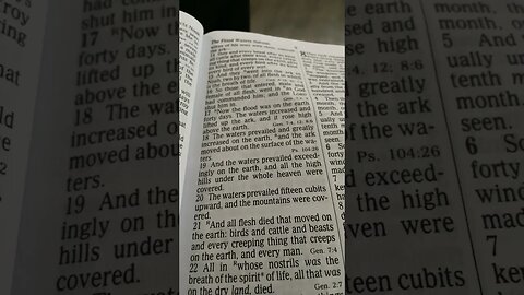 The ARK was lifted above the earth 🌍 during the FLOOD!