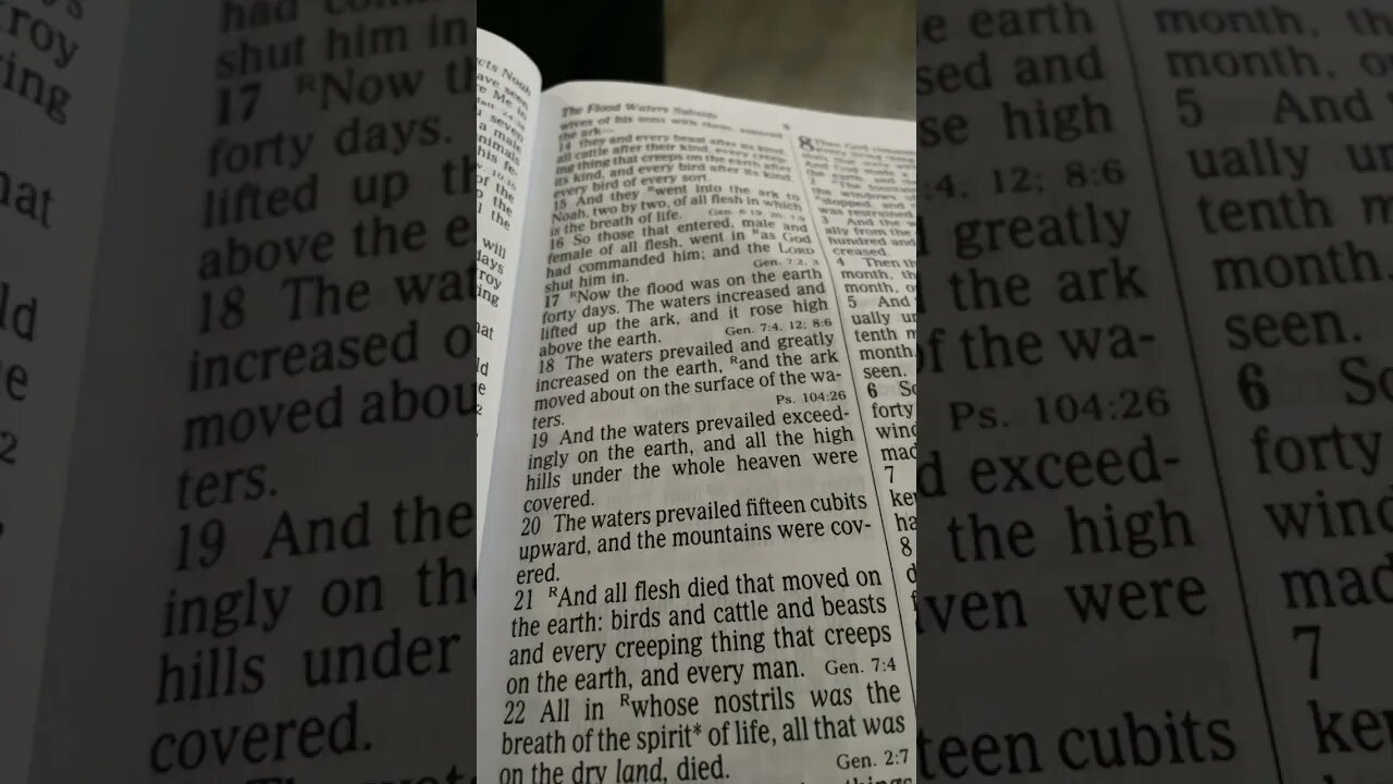 The ARK was lifted above the earth 🌍 during the FLOOD!