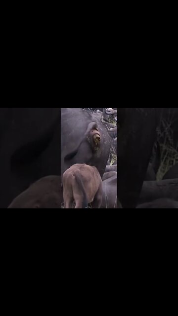 When Getting A Drink Goes Horribly Wrong! #shorts #MadeInMzanzi