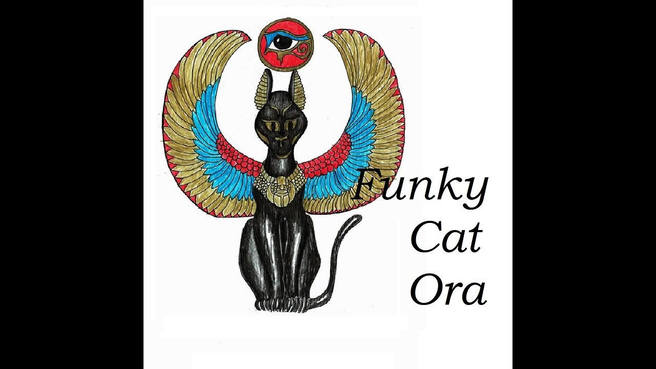 Funky Cat Ora