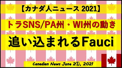 トラ新SNSの話/PA州・WI州の動き/追い込まれるFauci