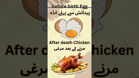 Funny interesting riddle shorts video viral in English and Urdu 🤣😂👌