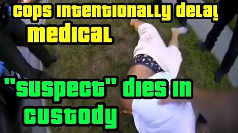 Illinois cops killed this man, your thoughts?