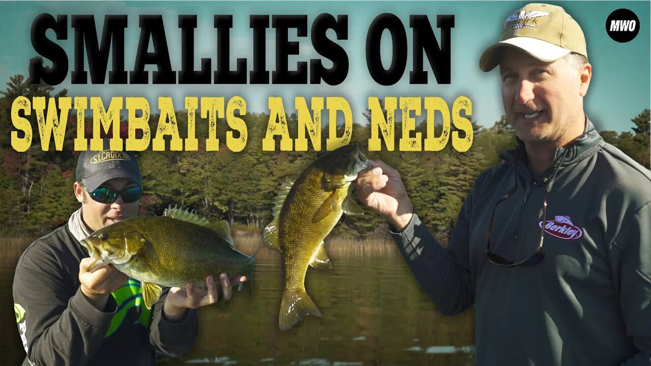 Ned Rigs for Northwoods Smallies