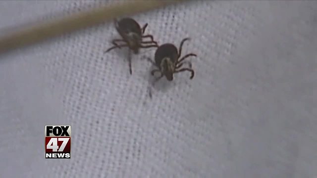 Livingston, Washtenaw counties named 'known risk' for contracting Lyme disease