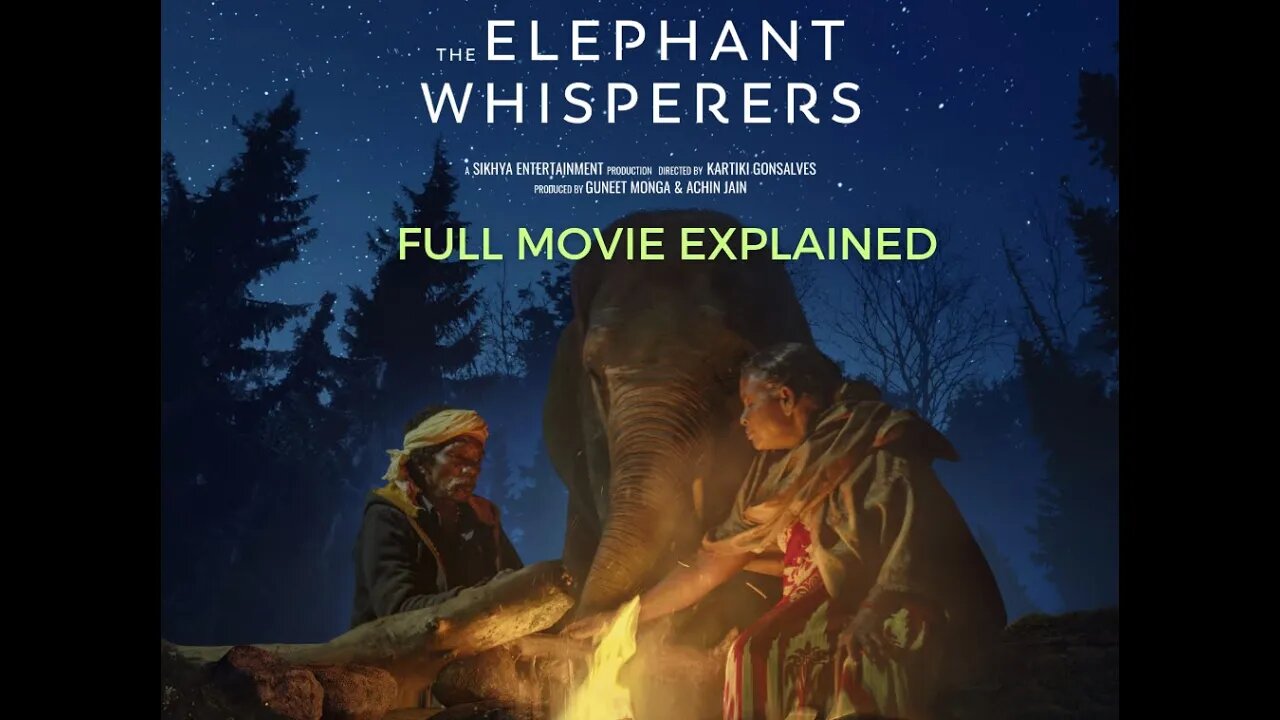 The elephant whisperer explained |elephant|whisp