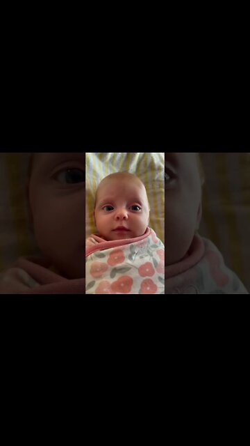 Best Videos Of Funny Twin Babies Compilation - Twins Baby Video. #2022 Happy New Year