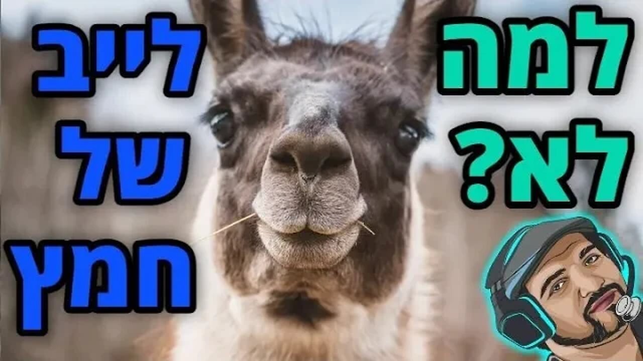 לייב של חמץ - פייבם בשרת של ביגיימר | BIGAMER FIVEM | קישור בהודעה המוצמדת