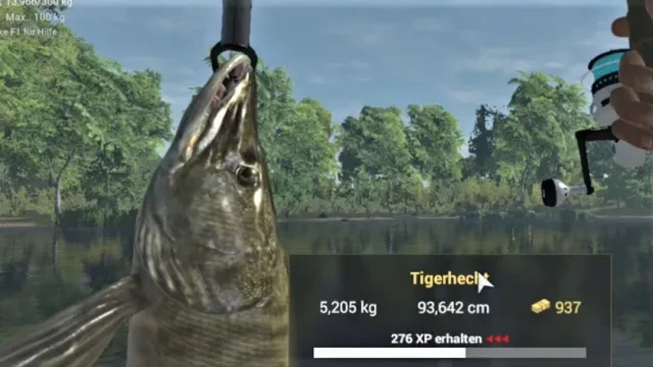 Fishing Planet Folge 475 Tigerhecht Michigan