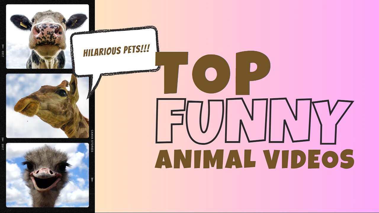 Funny Animals Compilation Best of 2023