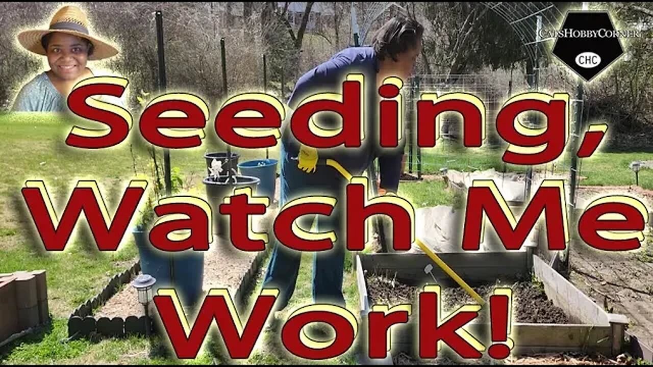 #seeding #watchmework - #catshobbycorner