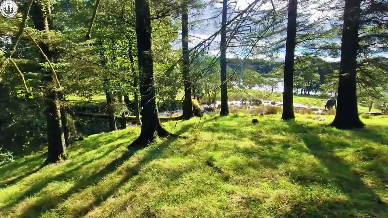 CAMPING after Storm, cooking meatloaf in Forest