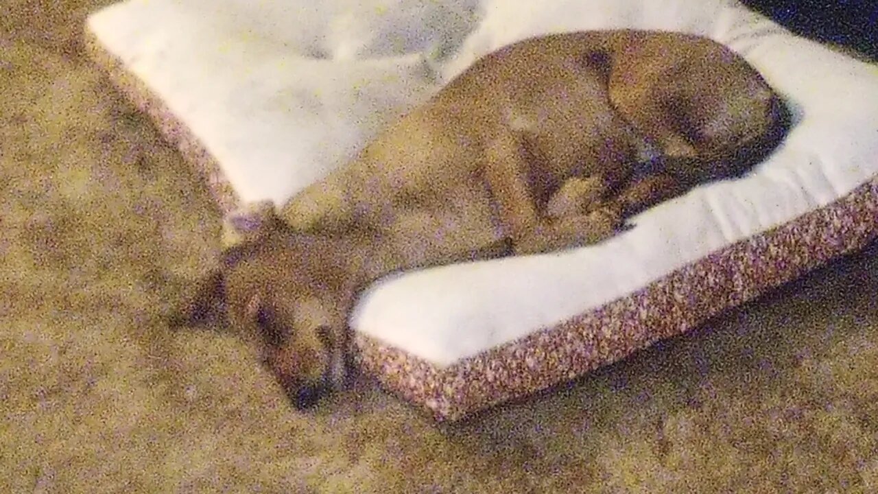lil girl enjoying the heater 🤣🤣🤣