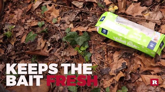 How To Trap Wildlife | Rare Animals