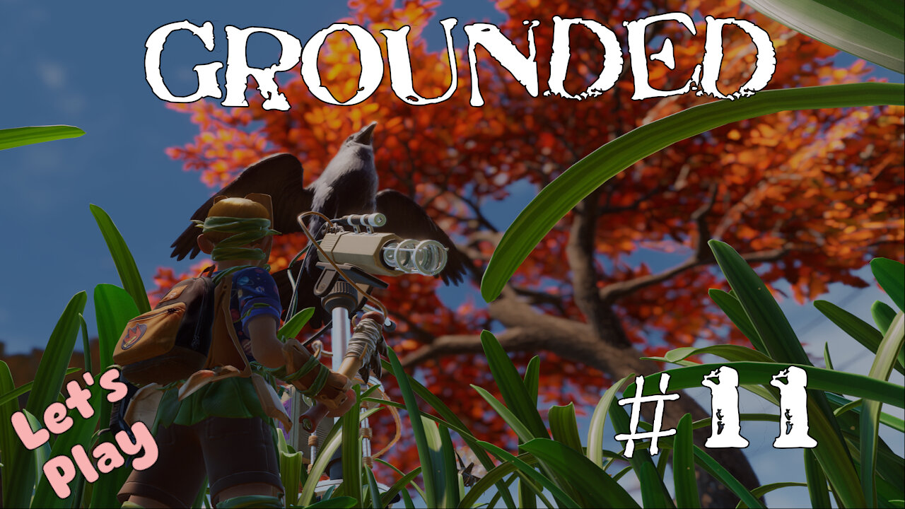 Let's Play | Grounded | #11