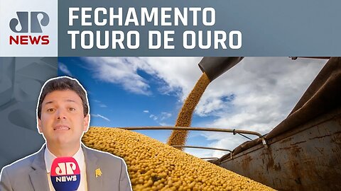 Ibovespa cai com commodities de olho na PEC da Transição | Fechamento Touro de Ouro