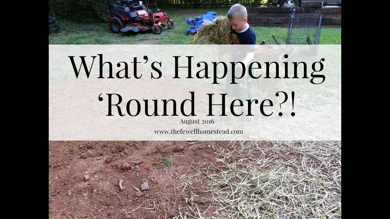 What's Happening 'Round Here?! And Daydreaming of Garden 2017