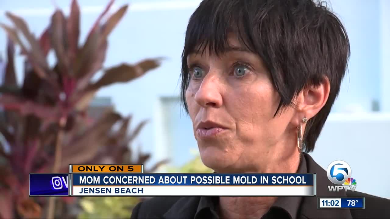 Mold in school