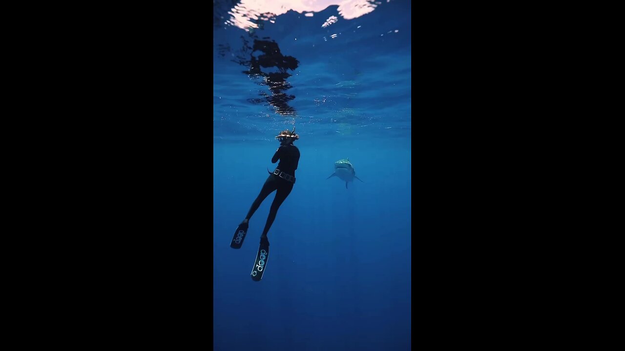 tiger shark snapping at me