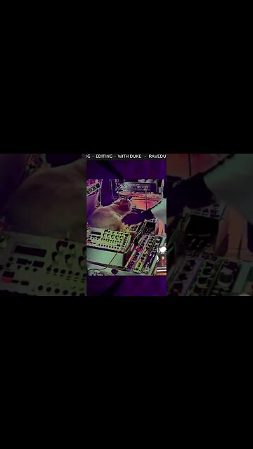 Acid Panther Plays TB-303 - DUKE ACID PAWS 004 #techno #OOTB #katnip is Not Class A #CatPlaysTechno