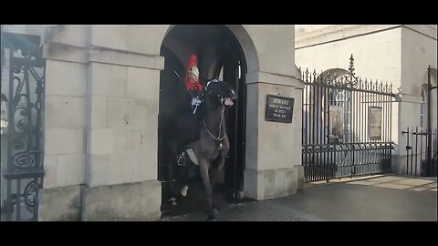 Horse Guard Brings horse under control for the second time #horseguardsparade