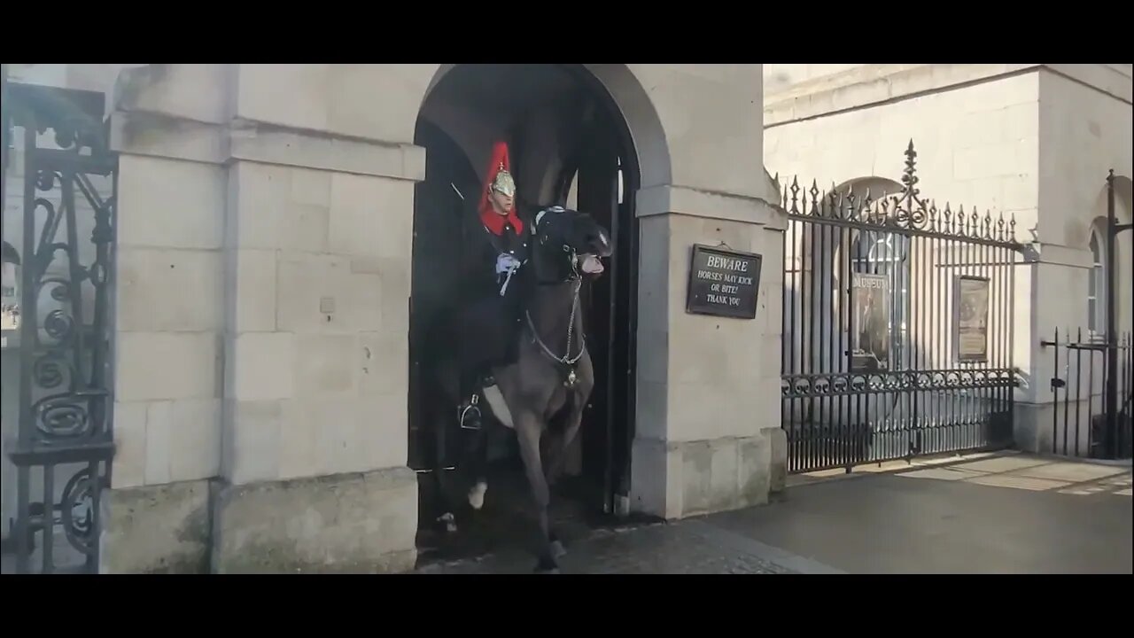 Horse Guard Brings horse under control for the second time #horseguardsparade