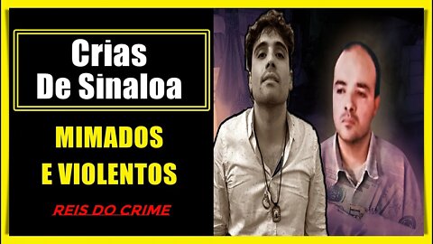 OS PLAYBOYS HERDEIROS DE SINALOA - CURIOSIDADES #002