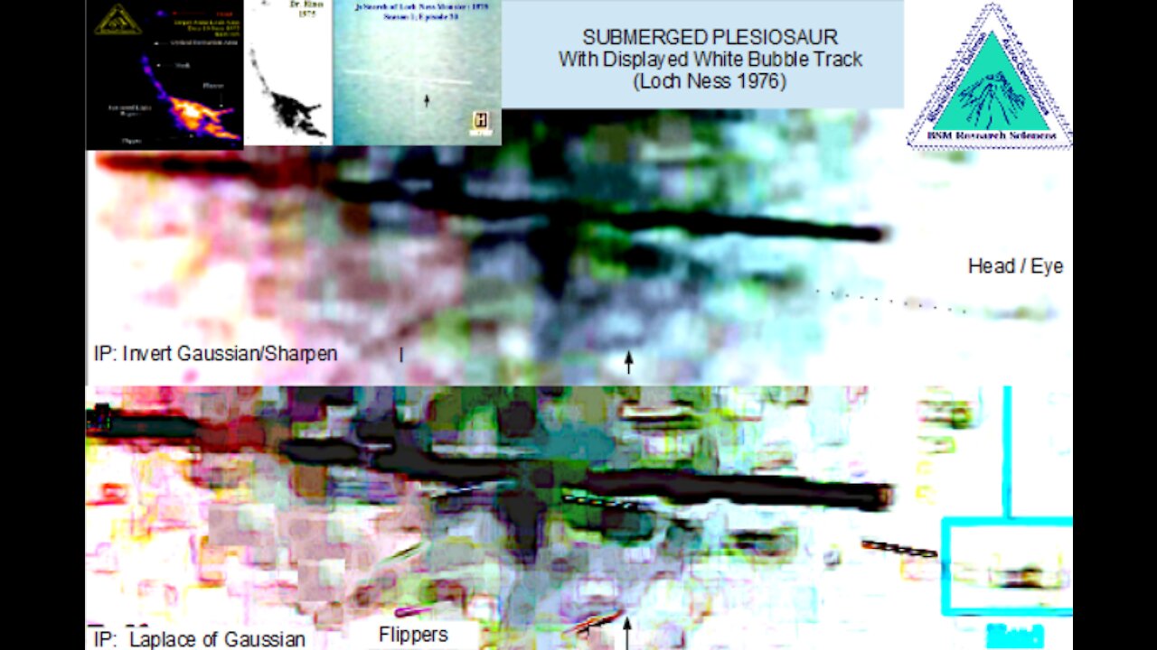 Loch Ness Plesiosaur (1976)