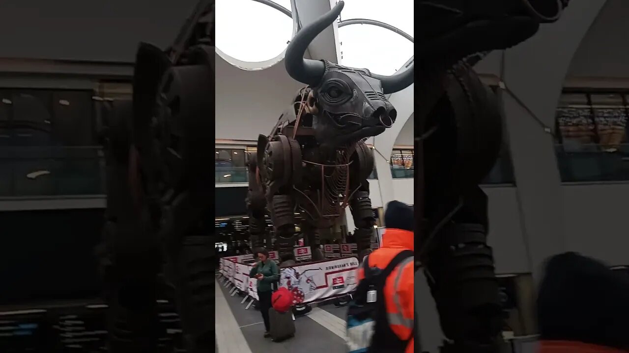 Birmingham bull.