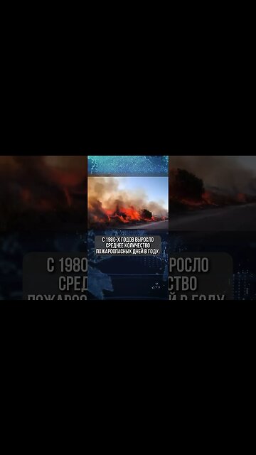 Шокирующие прогнозы синоптиков! #shorts