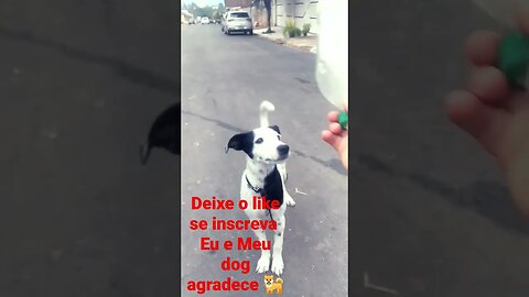 RICK BRINCANDO COM A GARRAFA PET.DEIXE UM LIKE PARA ESSE DOG E SE INSCREVA TBM VAMOS BATER 1K:⁠-⁠)