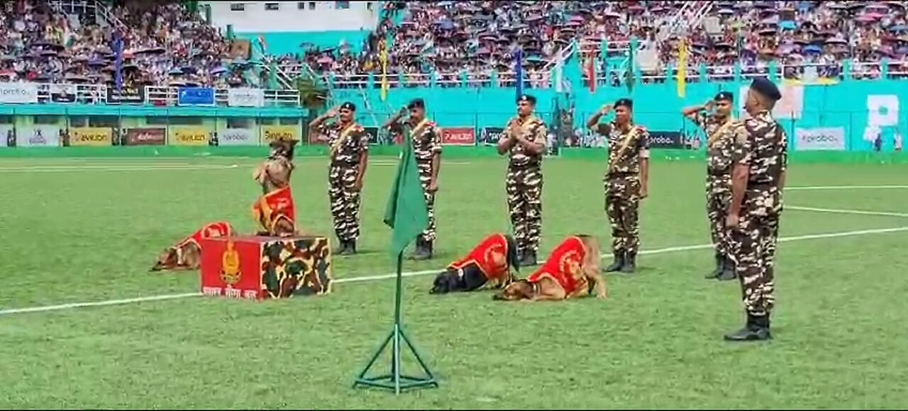 Indian Army Dogs Squad Performance! Army Day celebration