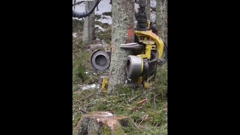 Forest Cutting Machine Fast Work