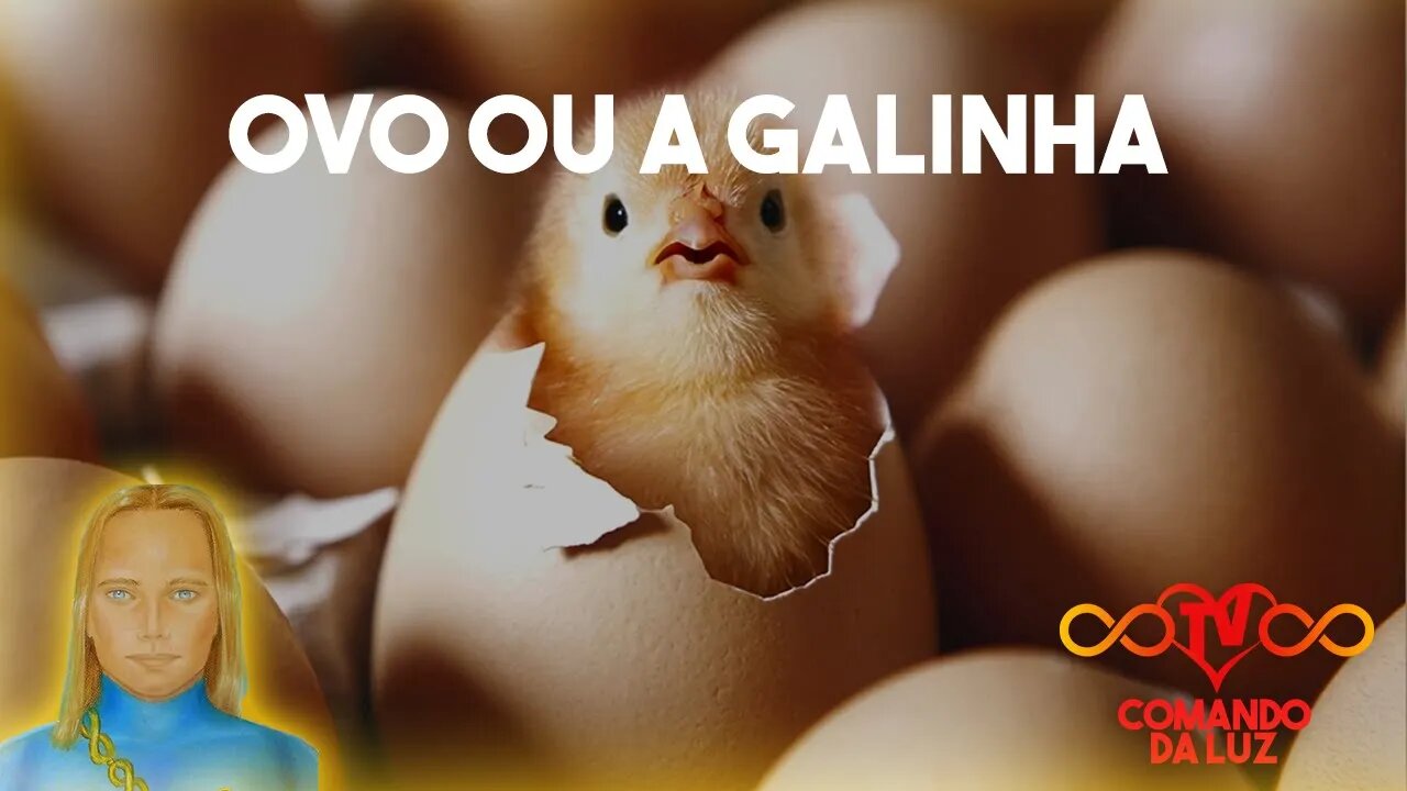 O Ovo ou a Galinha?