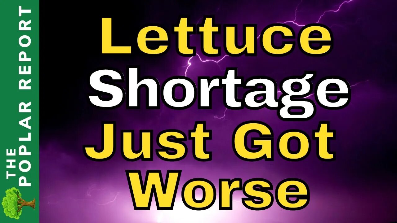 CRITICAL Food Shortage Updates & Empty Shelves Report (Monday, May 14th)
