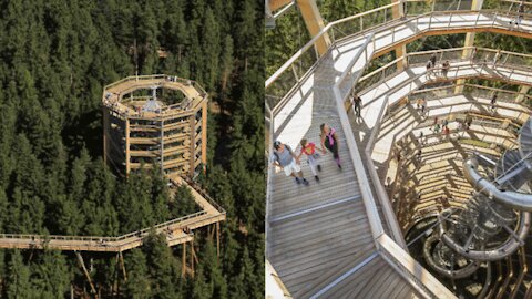 Voici de quoi aura l'air l'immense sentier dans les arbres dans les Laurentides (PHOTOS)