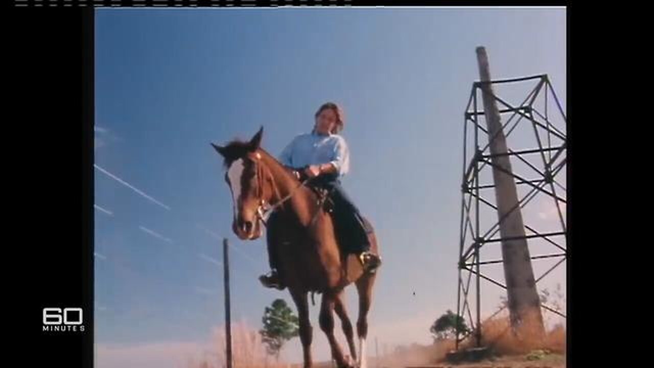 The ‘Waler’ Horses Facing Mass Culling - 60 Minutes Australia