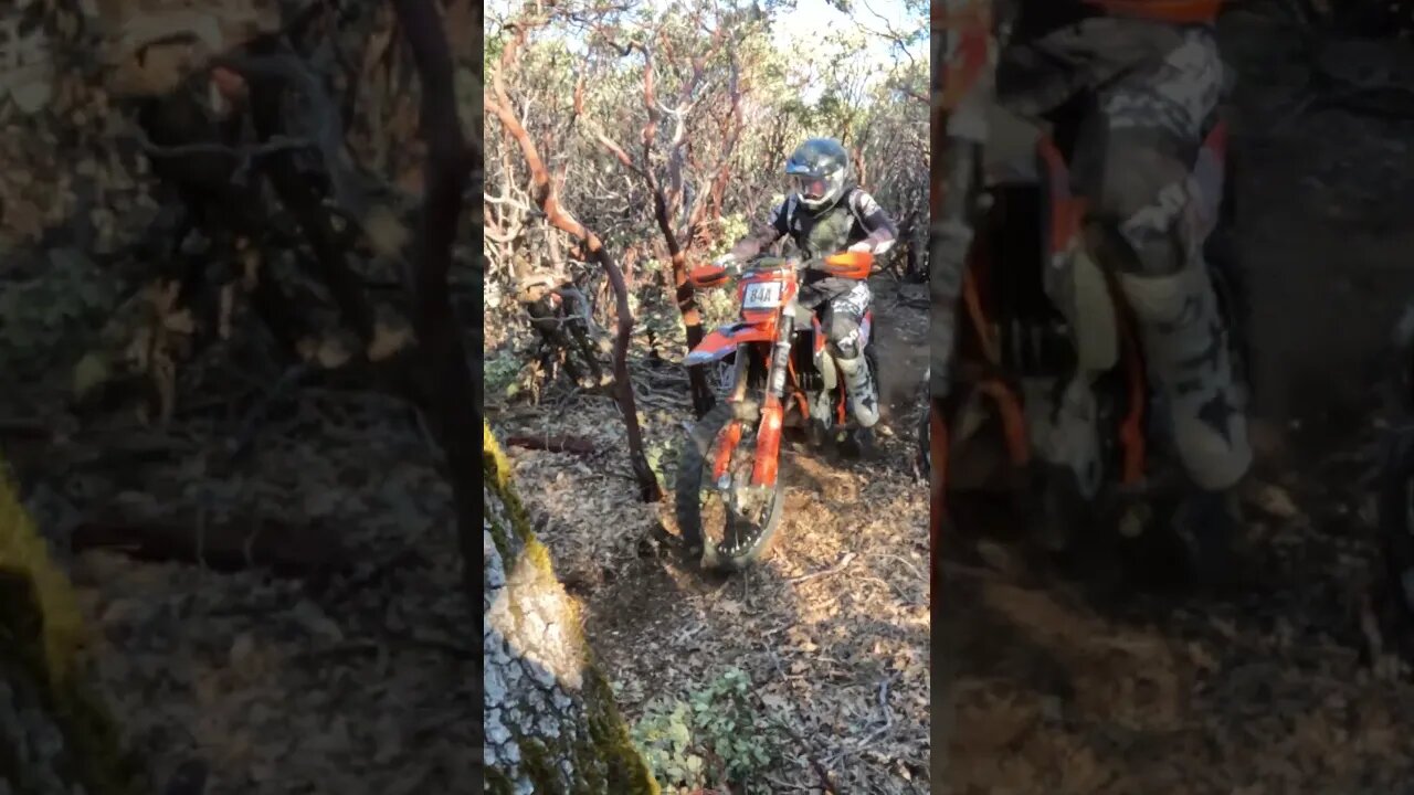 Crazy Tight Woods Racing #short #racing