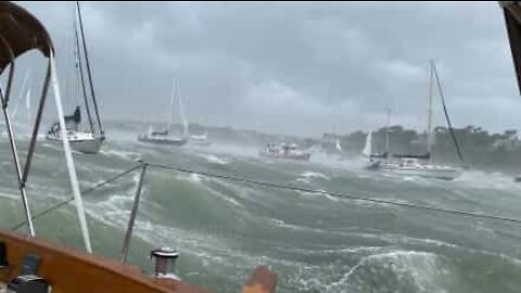 Terrified man films storm in Cape Cod, US