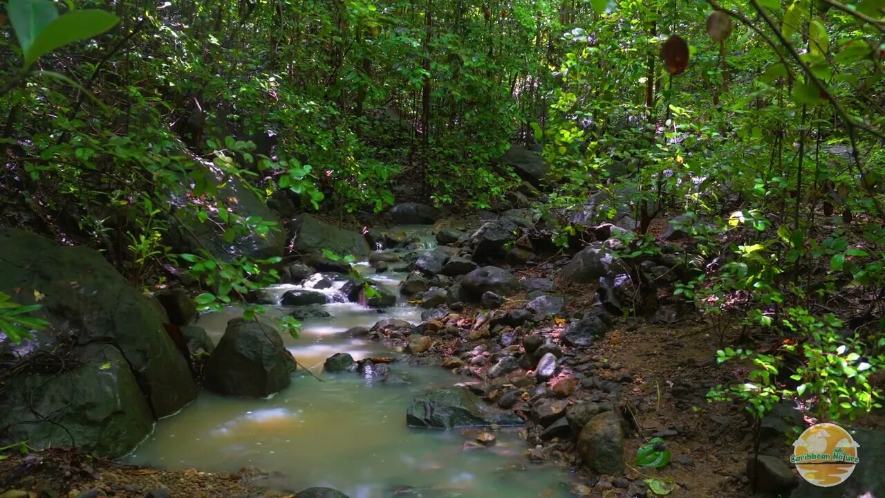 3hrs of calming river water flowing - Water Sounds - Nature ASMR