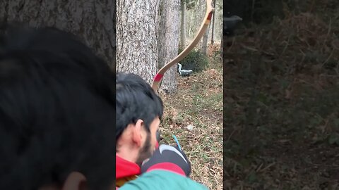 66LBS Paragon Raider Bow, High Nocking Point, Wavey Arrow Flight