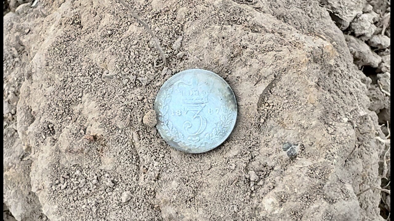 Queen Victoria Shines On The Field Metal Detecting With Minelab