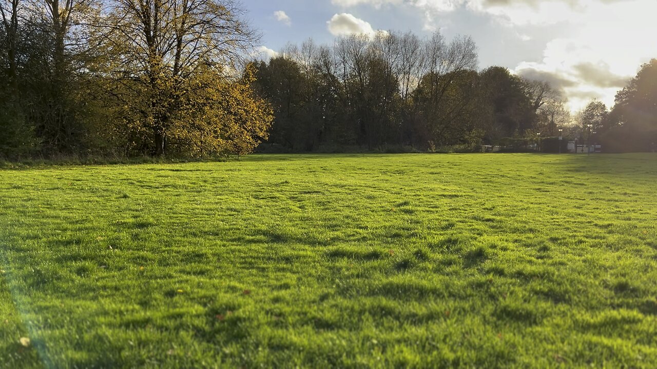 Peaceful Environment in The Hide Park