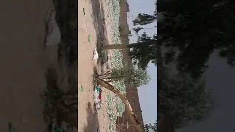 Plastic Bottle Scrap