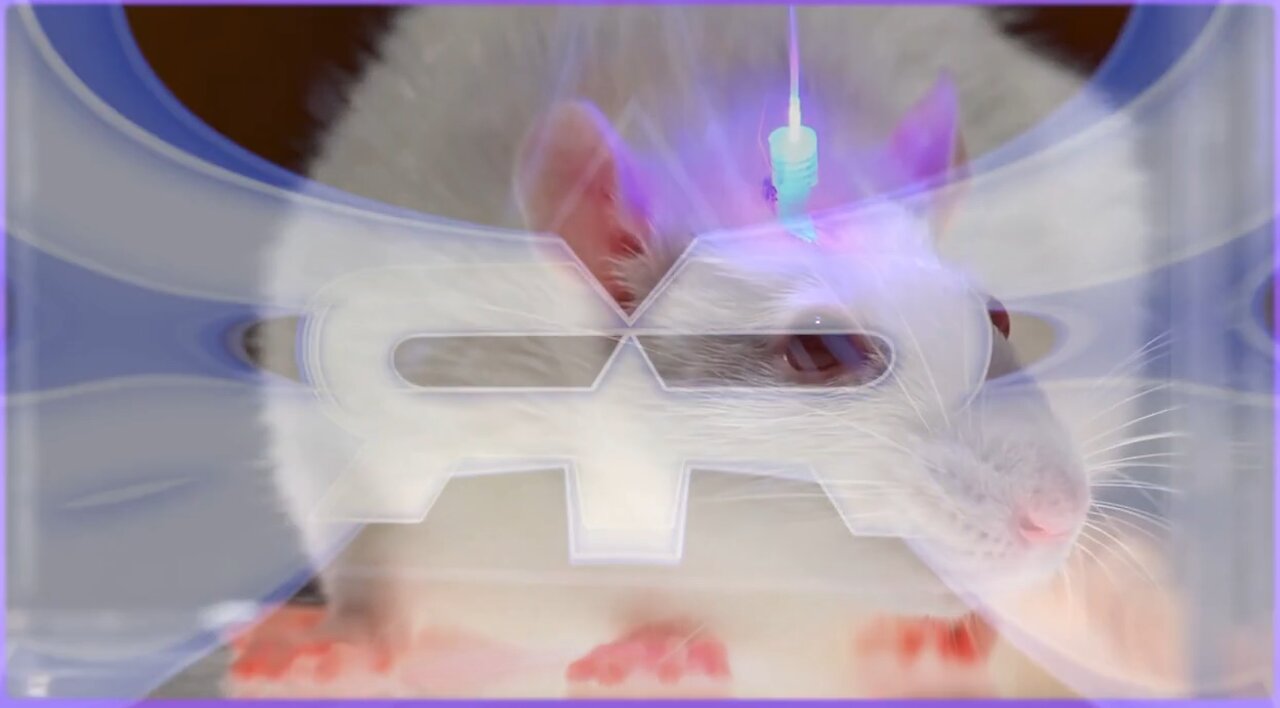 Optogenetics and the Secret Worldwide Nanotech Experiment | REESE REPORT