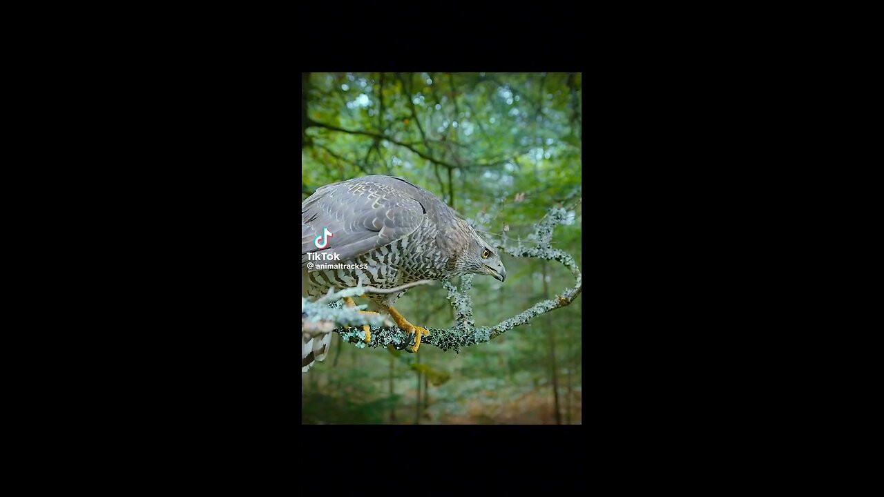 Nothing can stop what’s coming