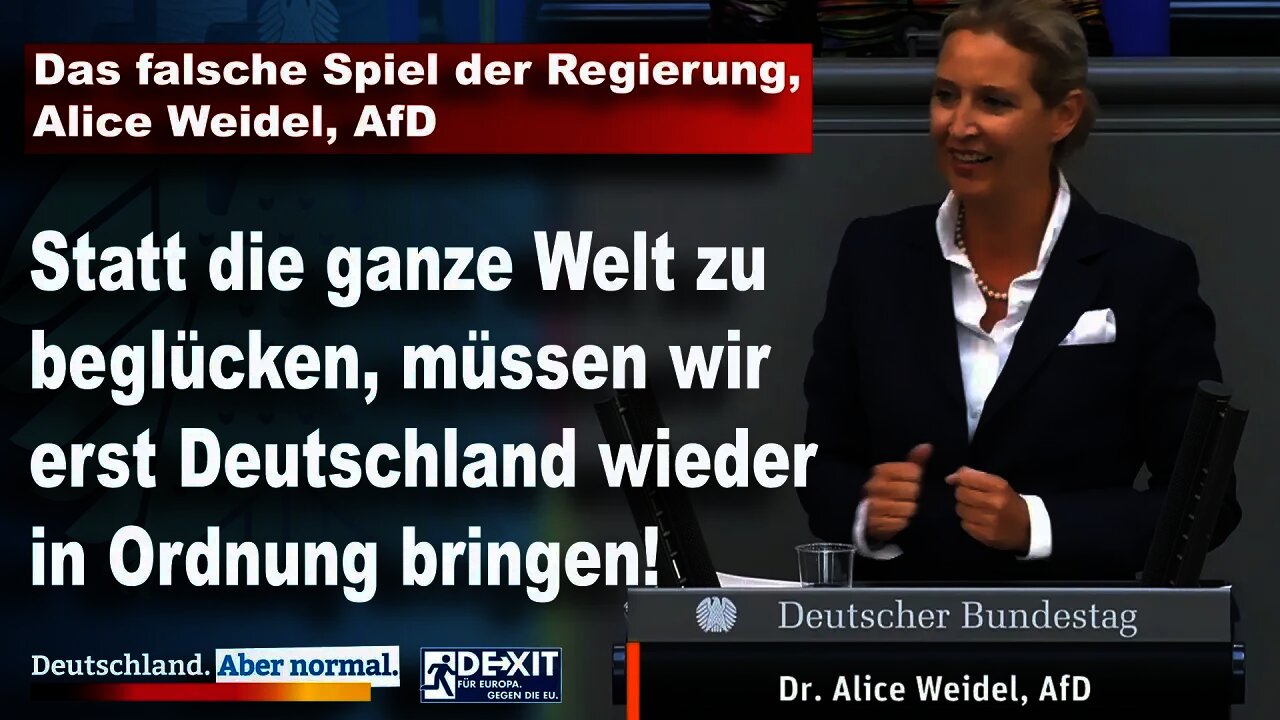 Das falsche Spiel der Regierung, Alice Weidel, AfD